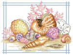 (image for) Seashells